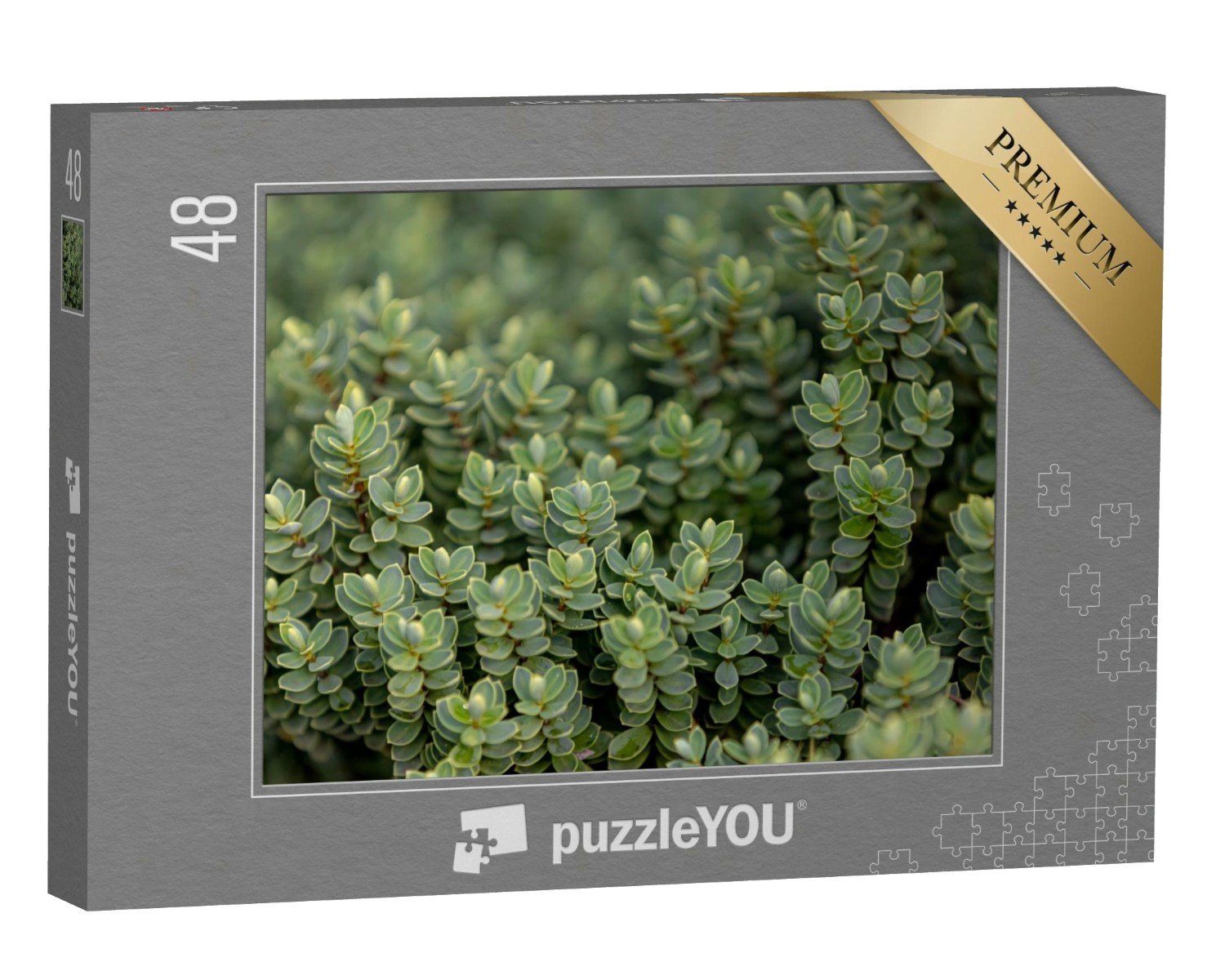 puzzleYOU Puzzle Winzige Immergrün-Blätter, 48 Puzzleteile, puzzleYOU-Kollektionen Pflanzen, Blumen & Pflanzen