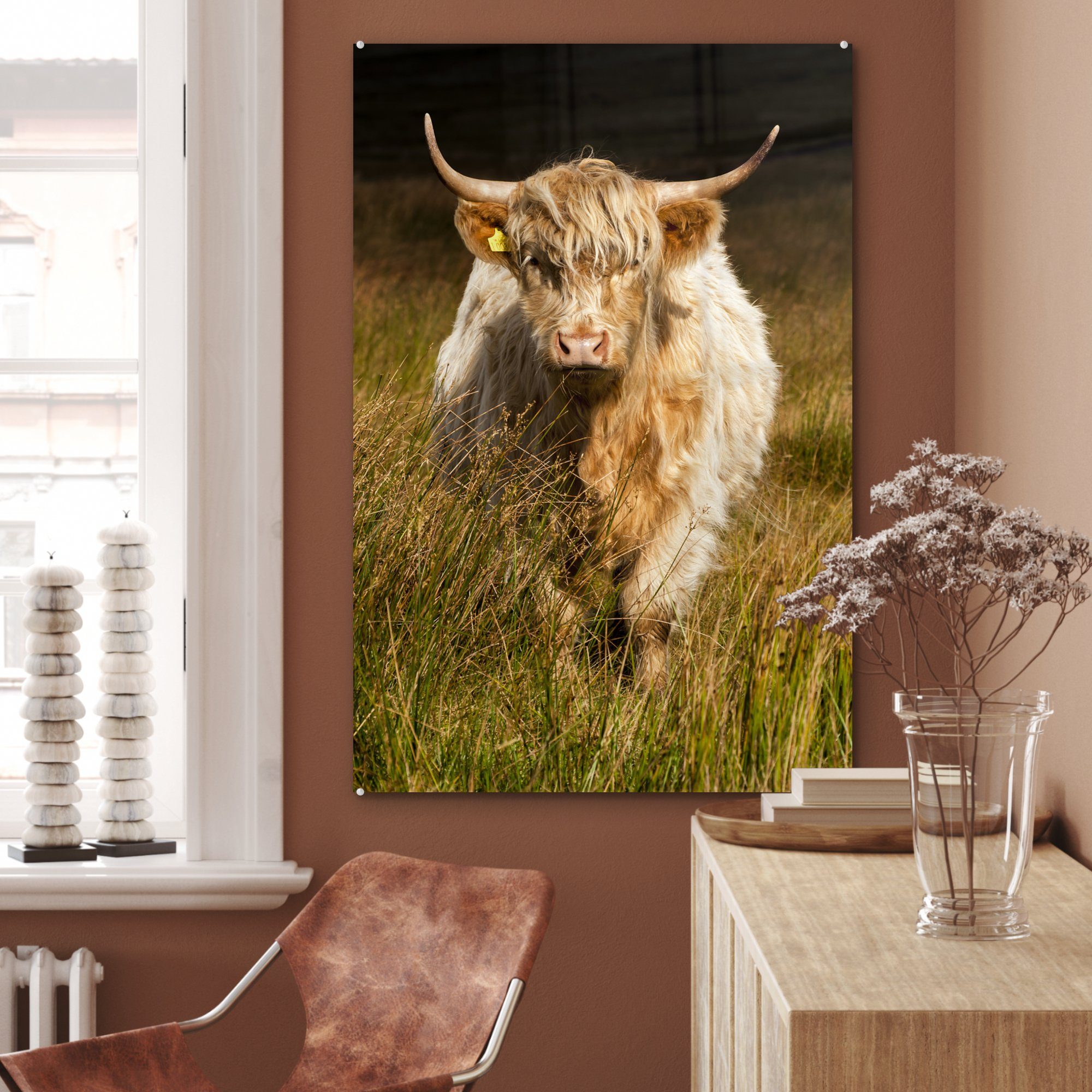 MuchoWow Acrylglasbild Schottische Highlander - - Dekoration (1 Gemälde Gras Glas, auf bunt St), Licht Tiere, wohnzimmer 