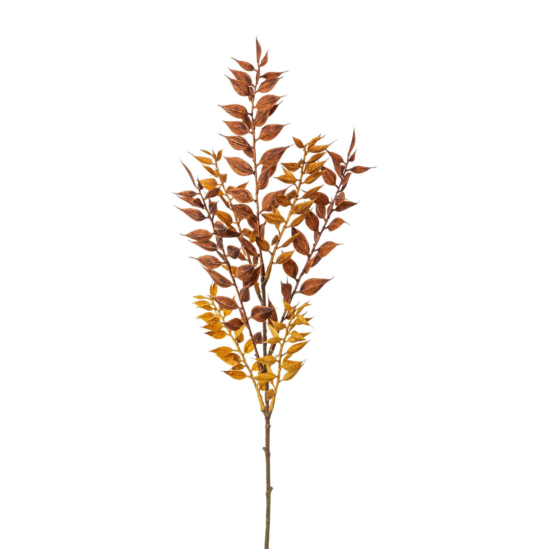 Kunstzweig Kunstpflanze RUSCUSZWEIG 50cm. Mäusedorn in Trockenblumenoptik. BRAUN, Gasper, Höhe 50.00 cm