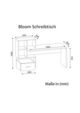 moebel17 Schreibtisch Schreibtisch Bloom Weiß Walnuss