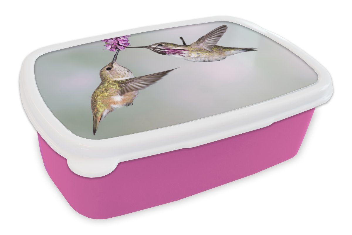 MuchoWow Lunchbox Kolibri - Vögel - Pflanze, Kunststoff, (2-tlg), Brotbox für Erwachsene, Brotdose Kinder, Snackbox, Mädchen, Kunststoff rosa