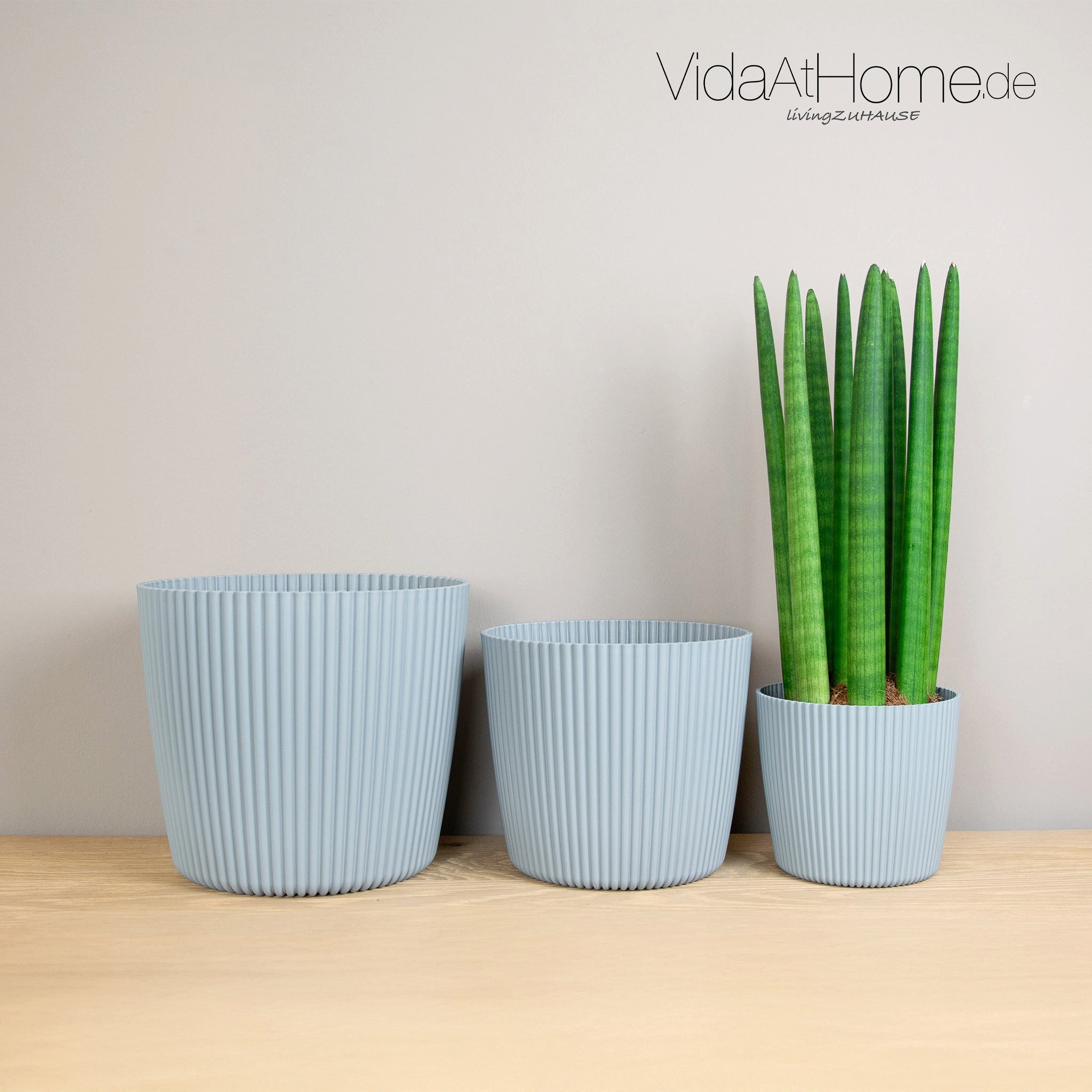 VidaAtHome.de Blumentopf Blumentopf LUCY ø 15er, günstig online kaufen