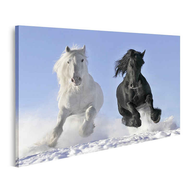 islandburner Leinwandbild Bild auf Leinwand Weißes Und Schwarzes Pferd Im Schnee Wandbild Poster