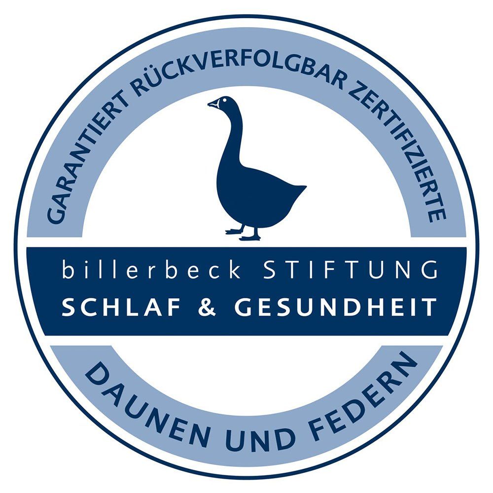 15, in Füllung: Daunenkissen Gabriela Federn, Hergestellt Daunenkissen und billerbeck, Gänsedaunen Deutschland