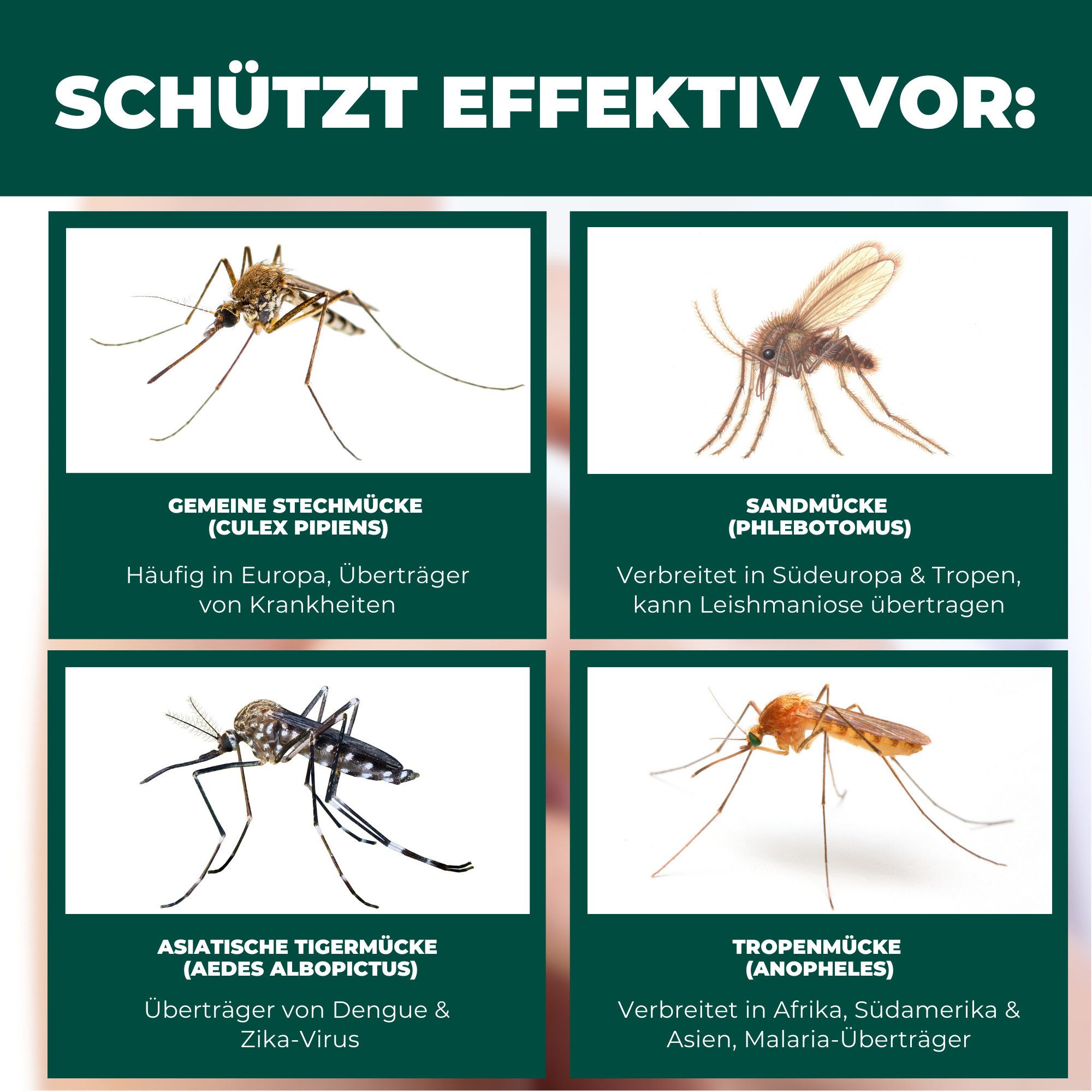 Silberkraft Betthimmel Insektenschutz für Reise- und Kinderbett, Mückennetz 150×70×90 cm (Kompakt & leicht, ideal für unterwegs, 1-tlg., Luftdurchlässiges Netzm – Bild 4 von 5