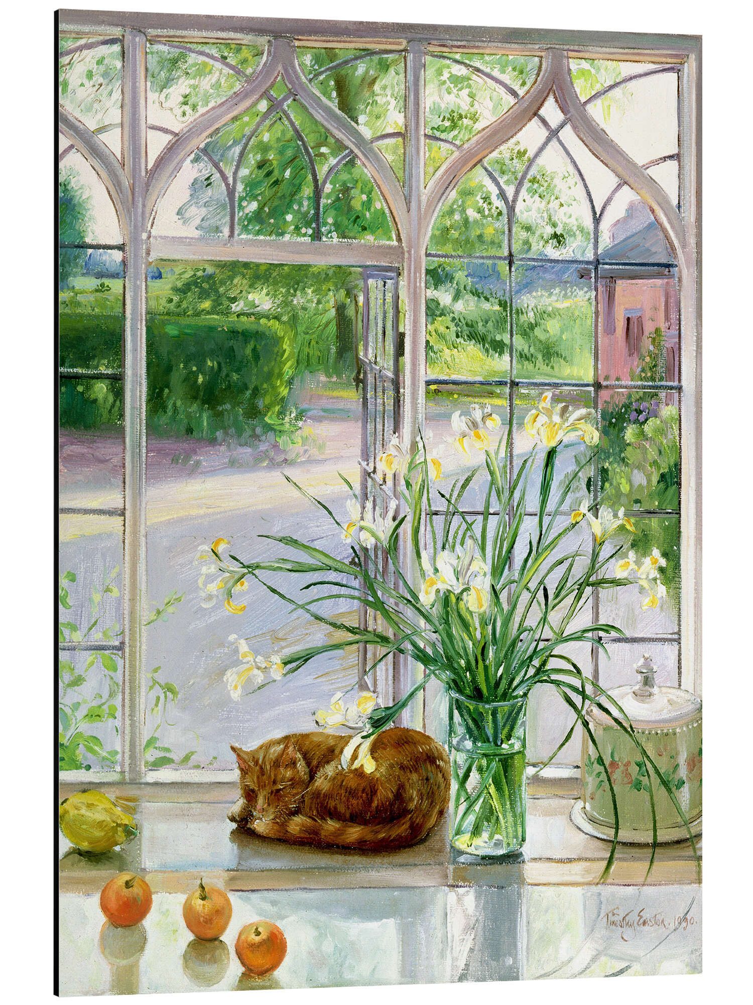 Posterlounge Wandbild Schlafende Katze im Fenster, Timothy Easton, erhältlich als Poster, Leinwandbild, Wandsticker oder Acrylglasbild