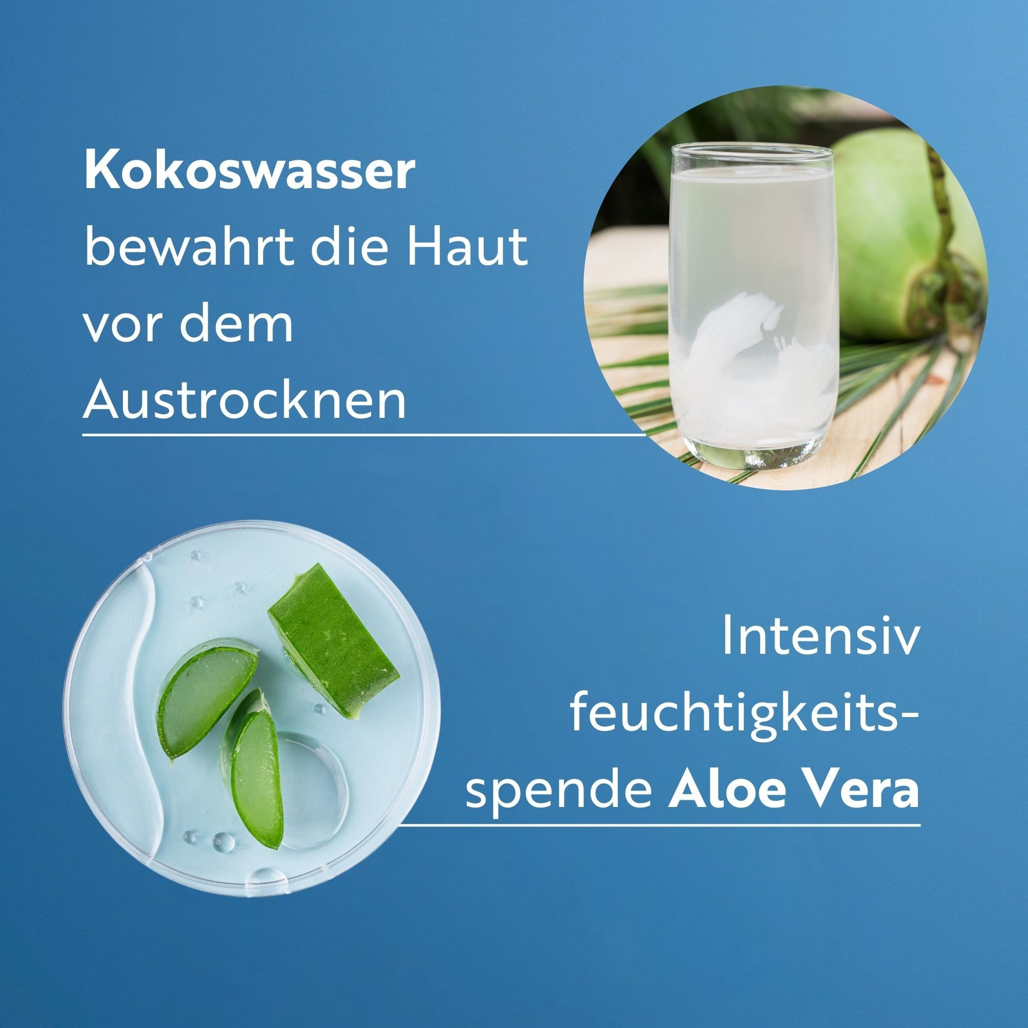 M. Asam Sonnenschutzcreme Intensive Anti-Aging SUN Cream LSF 50, korallenfreundlich nach Hawaiian Reef Act**