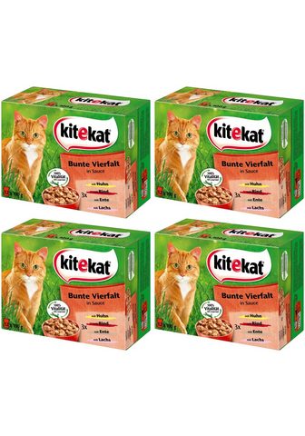 KITEKAT Комплект: корм для кошек »Bunte ...