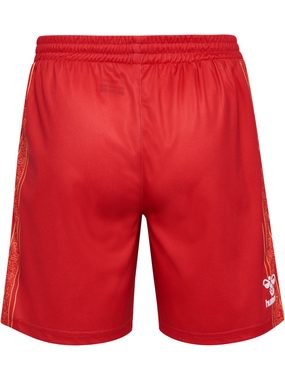 hummel Trainingsshorts 1.FC KÖLN 23/24 Karneval Shorts