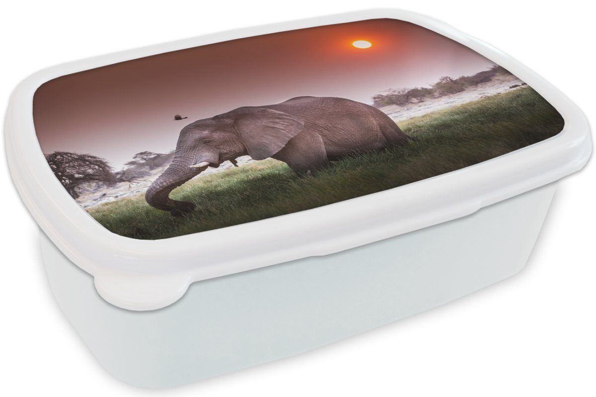 Mädchen und Brotdose, (2-tlg), Kunststoff, für Brotbox und Gras weiß - - Tiere, Kinder Erwachsene, MuchoWow Sonne Jungs für Elefant Lunchbox -