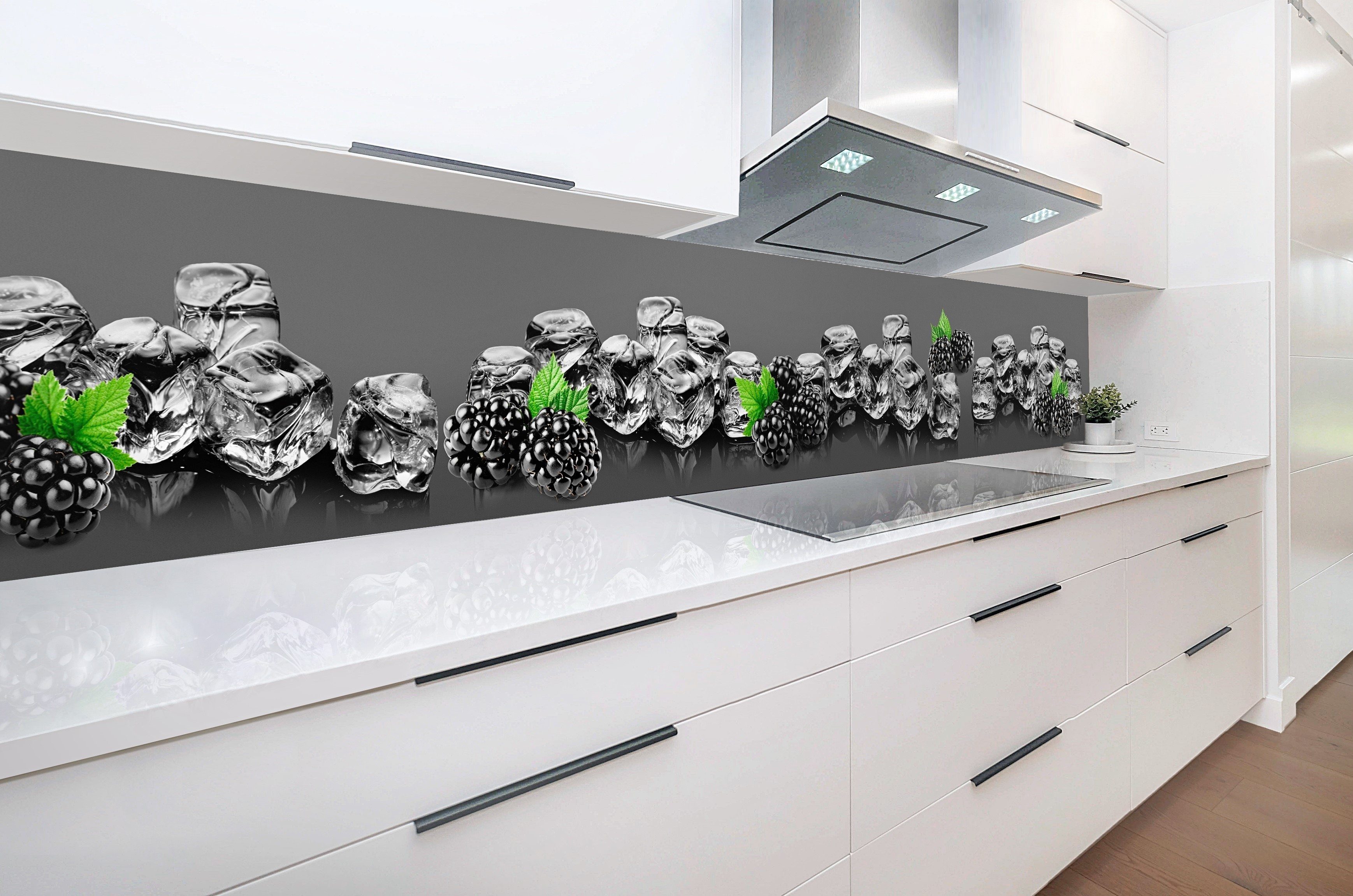 Rodnik Küchenrückwand DELUXE Qualität in Brombeeren, mit Direktdruck Monolith Platte ABS-Kunststoff
