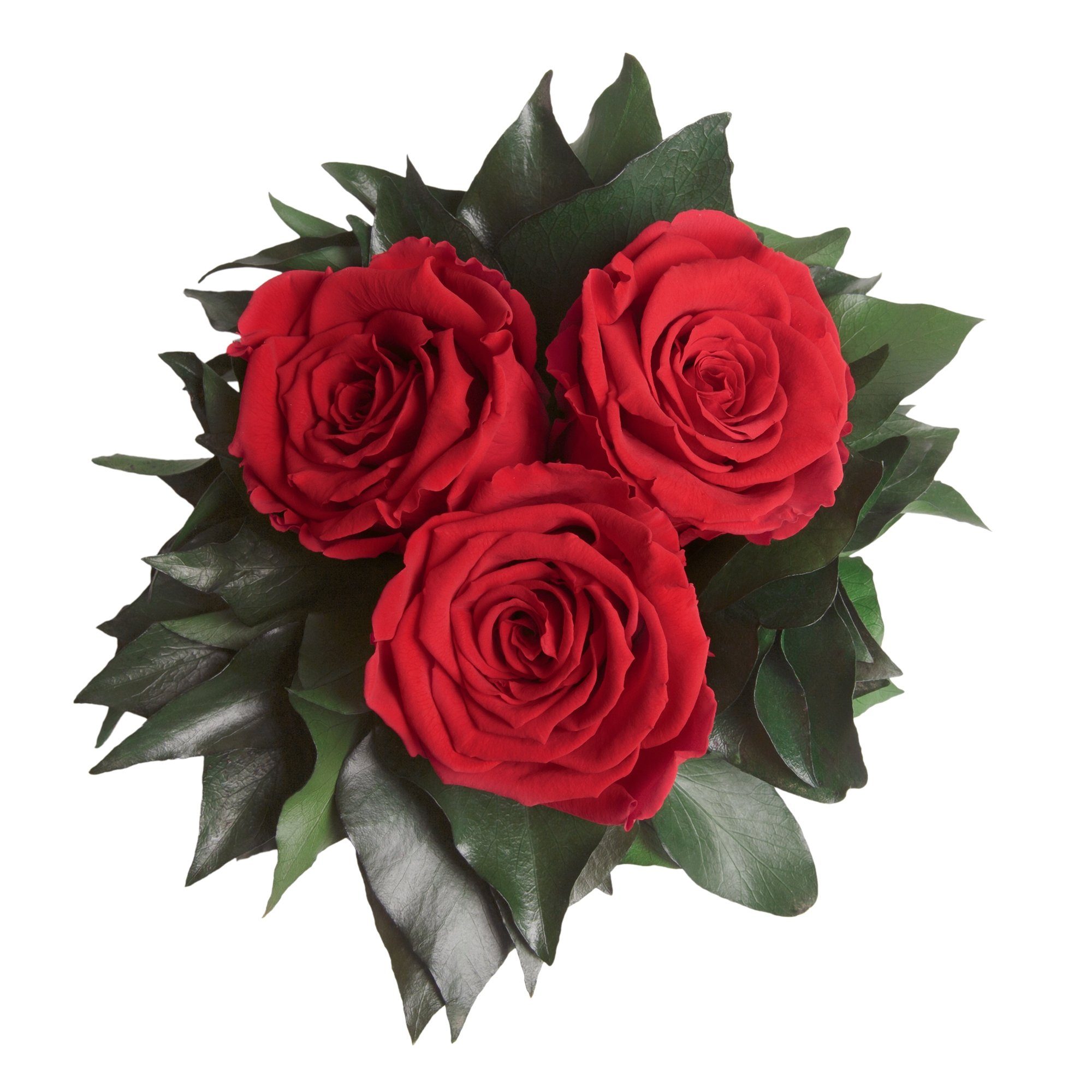 Kunstorchidee 3 Infinity Rot bis SCHULZ 15 Rose, silberfarbene ROSEMARIE haltbar Jahre cm, Wohnzimmer Vase Heidelberg, Höhe 3 zu Deko Blumenstrauß Rose Rosen