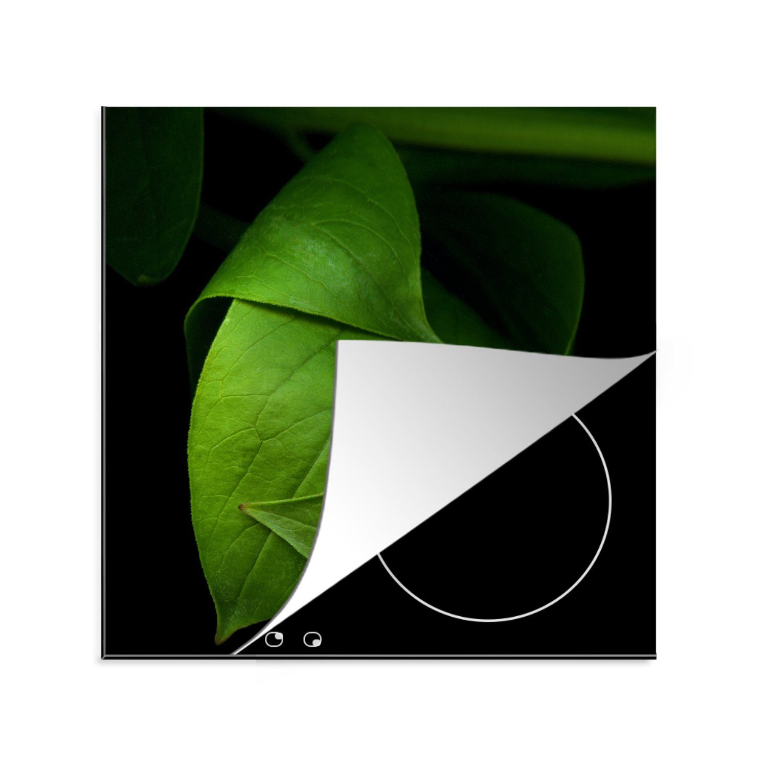 MuchoWow Herdblende-/Abdeckplatte Die Details eines grünen Blattes vor schwarzem Hintergrund, Vinyl, (1 tlg), 78x78 cm, Ceranfeldabdeckung, Arbeitsplatte für küche