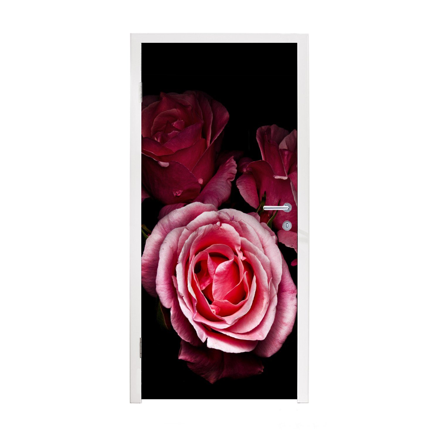 MuchoWow Türtapete Ein Foto von rosa Rosen mit schwarzem Hintergrund, Matt, bedruckt, (1 St), Fototapete für Tür, Türaufkleber, 75x205 cm | Türtapeten