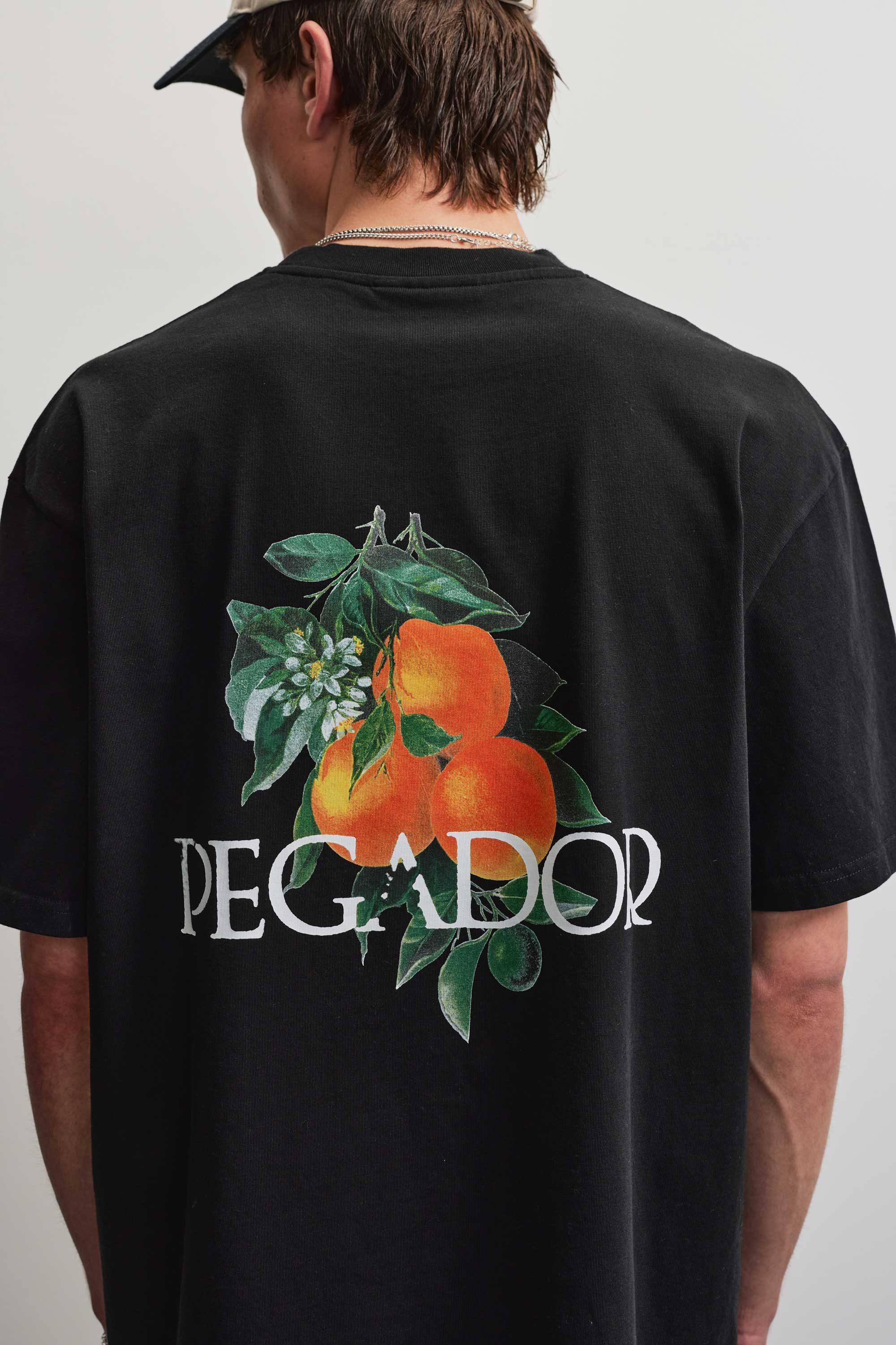 PEGADOR Rundhalsshirt VIBORG OVERSIZED TEE