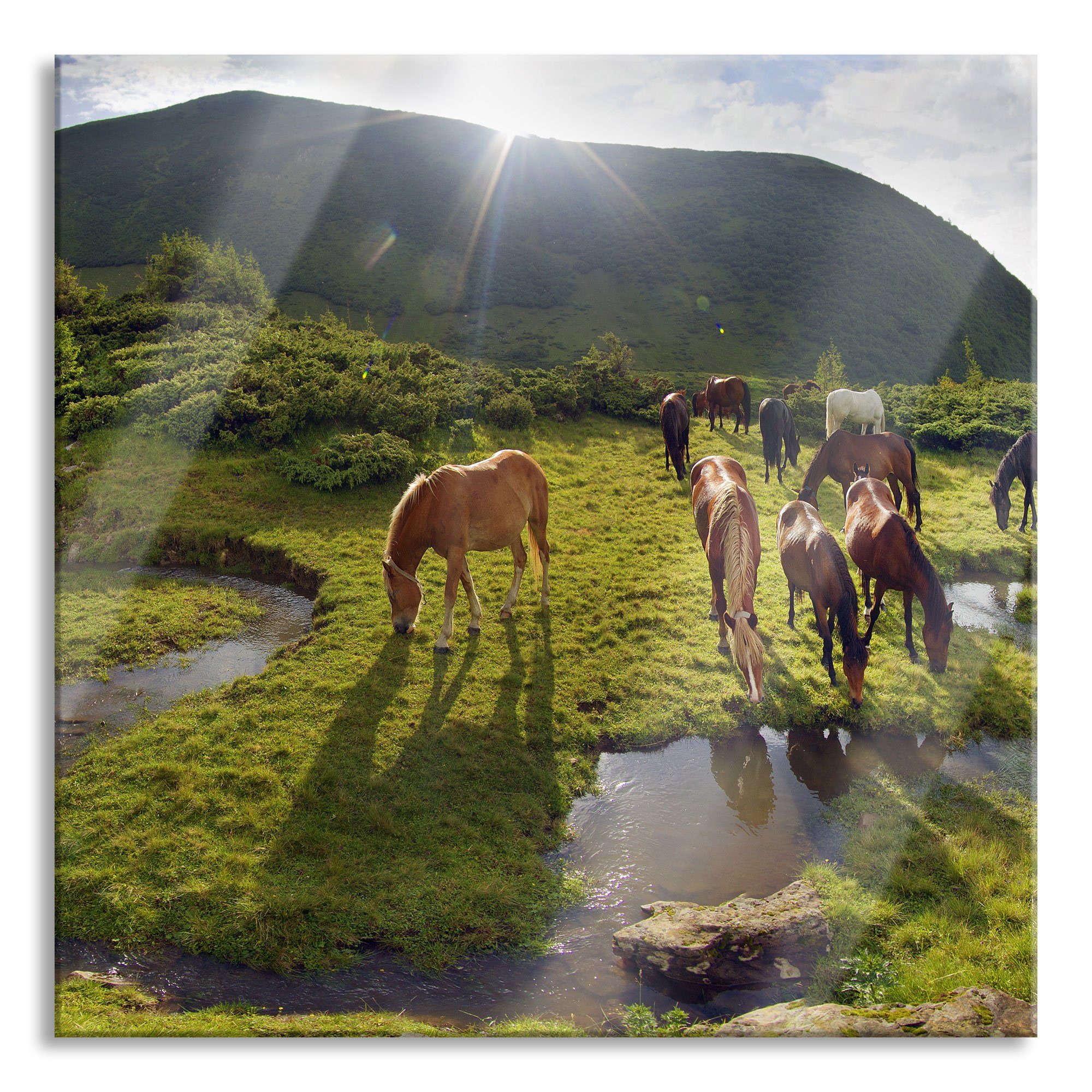 Pixxprint Glasbild Pferde Wiese, auf auf Aufhängungen Wiese inkl. Abstandshalter Glasbild und Echtglas, (1 aus St), Pferde