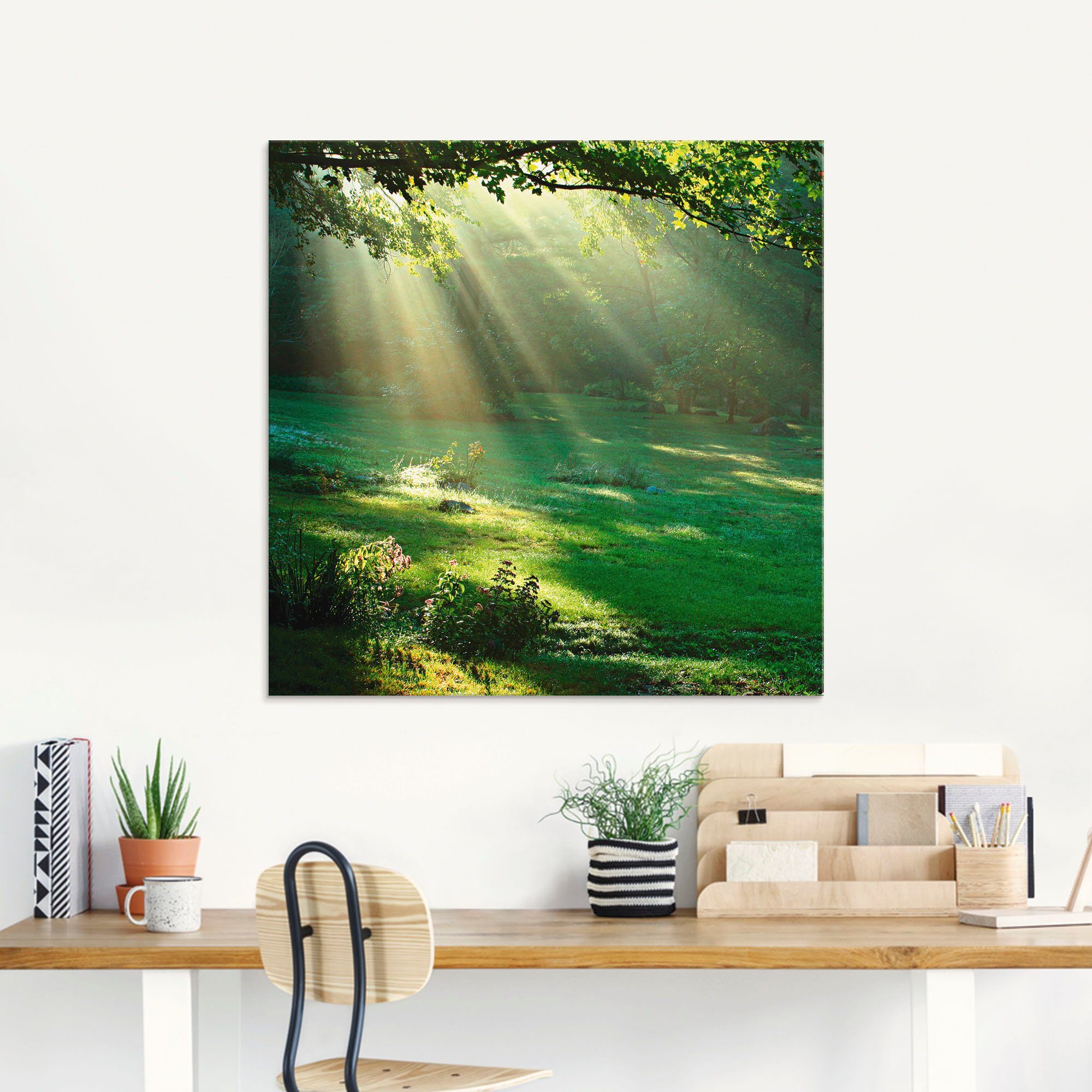 Artland Glasbild Lichtkegel, Wald (1 St), in verschiedenen Größen