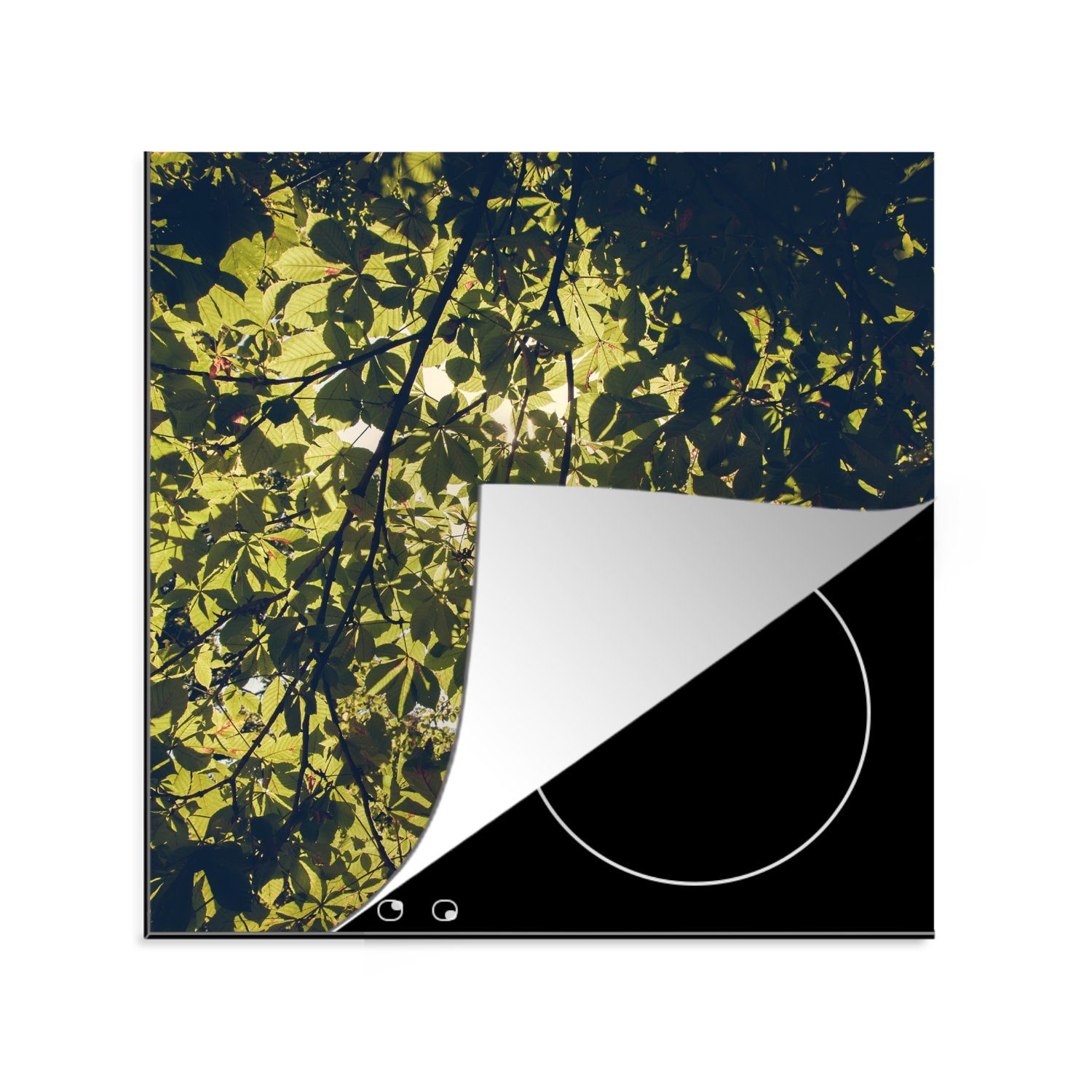 MuchoWow Herdblende-/Abdeckplatte Blätter - Natur - Baum - Sonne, Vinyl, (1 tlg), 78x78 cm, Ceranfeldabdeckung, Arbeitsplatte für küche