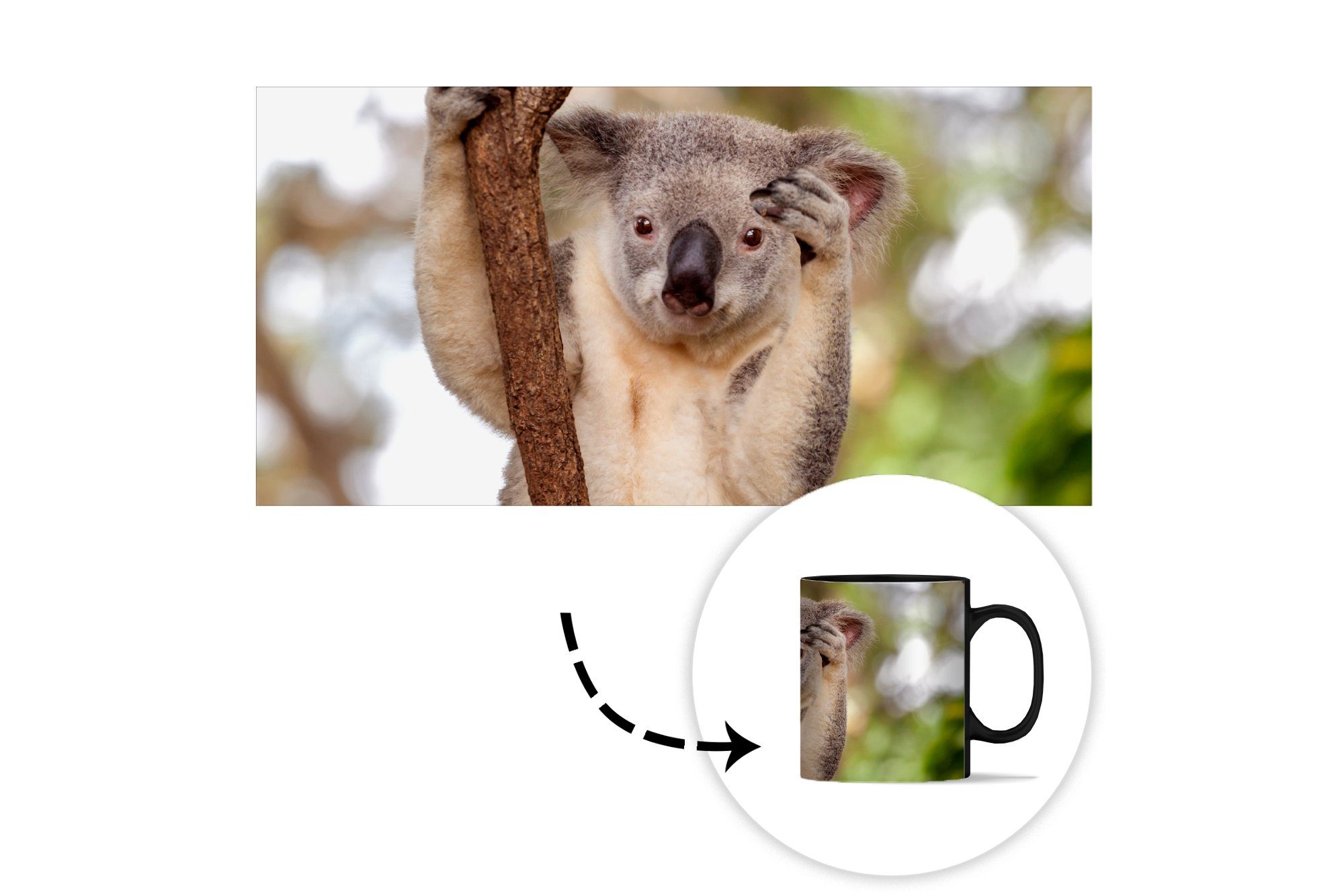 Farbwechsel, Tasse - Kaffeetassen, Teetasse, MuchoWow Mädchen, - Keramik, Geschenk - Äste - Kinder Tier Koala Jungen Zaubertasse, -