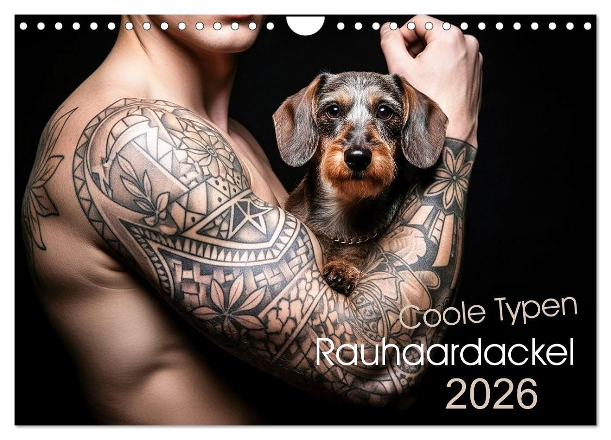 CALVENDO Wandkalender Coole Typen - Rauhaardackel (Wandkalender 2026 DIN A4 quer), CALVENDO