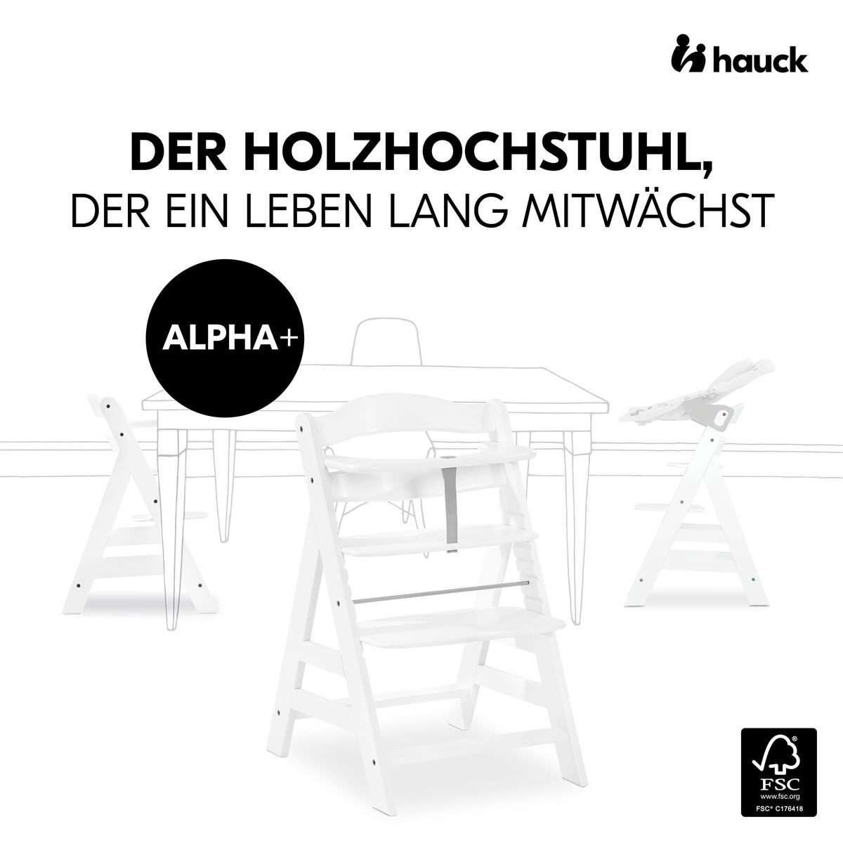 Hauck Hochstuhl Alpha Plus White, Mitwachsender Holz Kinderhochstuhl ab 6 Monaten mit Sitzauflage & Gurt