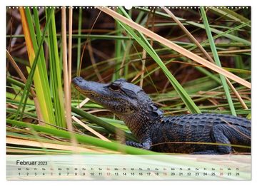 CALVENDO Wandkalender Große Echsen. Krokodile und Alligatoren (Premium, hochwertiger DIN A2 Wandkalender 2023, Kunstdruck in Hochglanz)