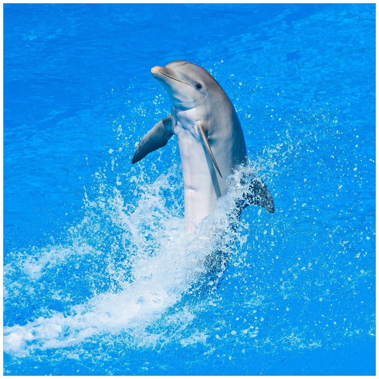 Wallario Tischplatte Fröhlicher Delfin im blauen Wasser (1 St), für Ikea Lack Tisch geeignet