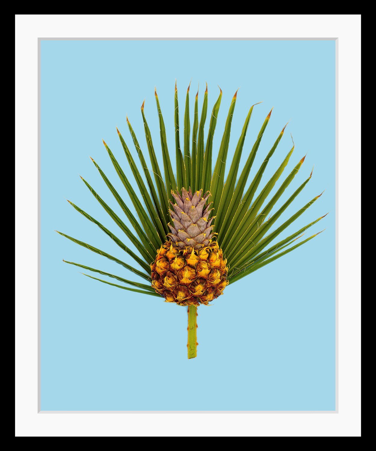 queence Bild Diana, Ananas, Kunst, Obst, Obst Bilder, Palmen, Stechpalmen, HD Premium Poster-Druck inkl. Holzrahmen