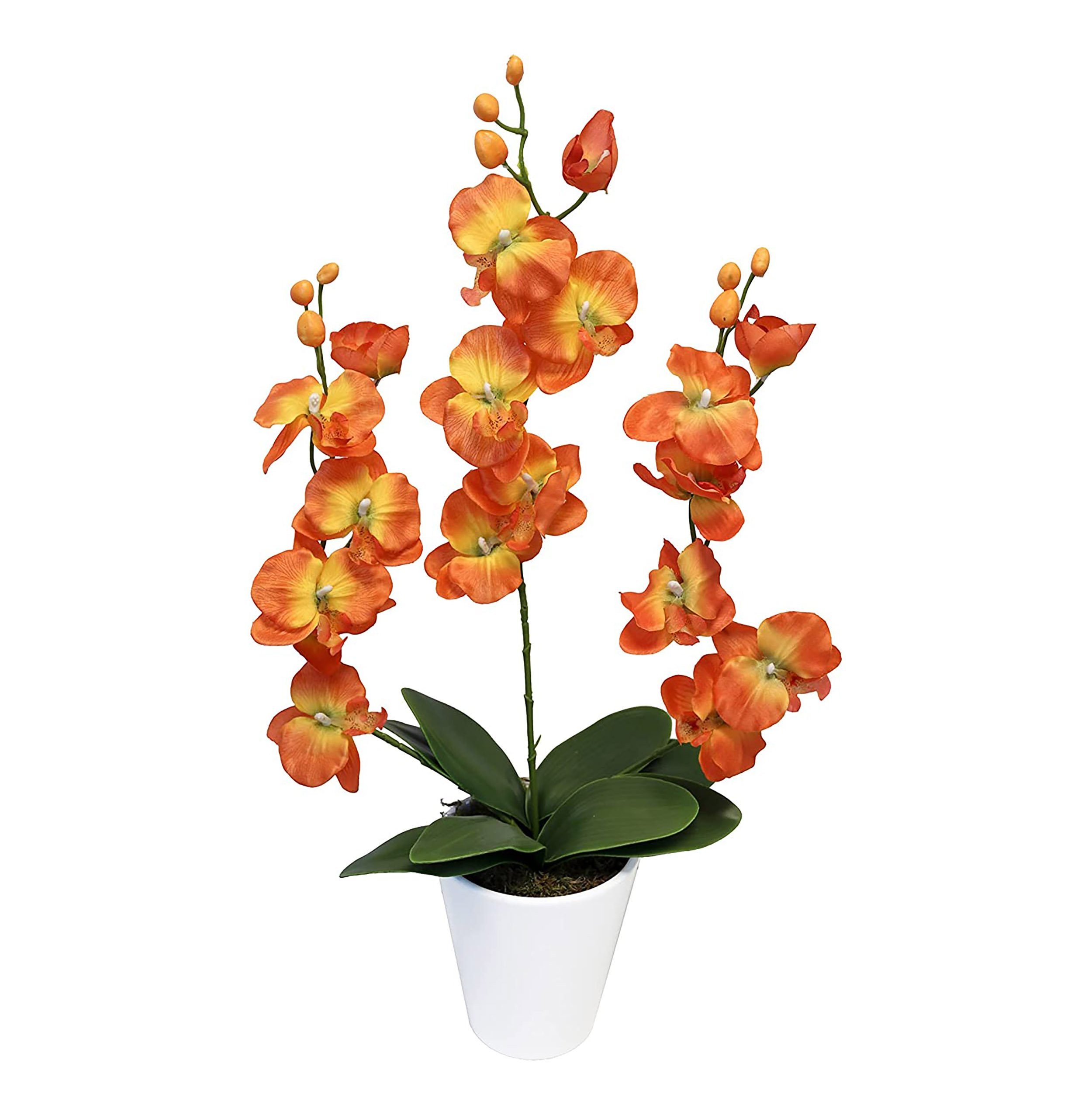 Kunstpflanze Orchidee kunstblumen Orchideen künstlich orchideentopf  pflanzen 790 Orchideen künstlich, PassionMade, Höhe 65 cm, Wunderschöne  künstliche Orchideen im Topf aus Keramik
