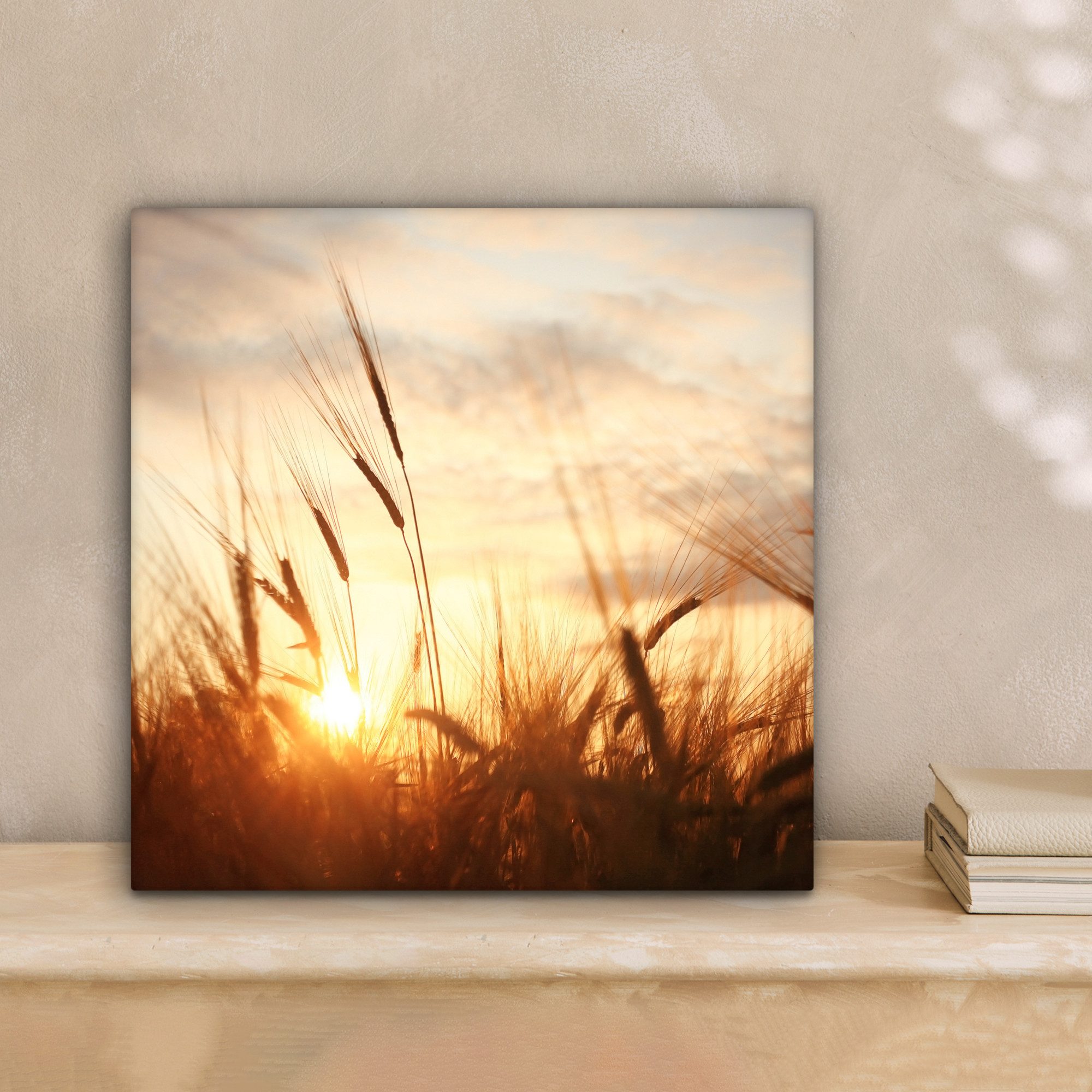 OneMillionCanvasses® Leinwandbild Schilf - Gras - Sonnenuntergang - Natur - günstig online kaufen