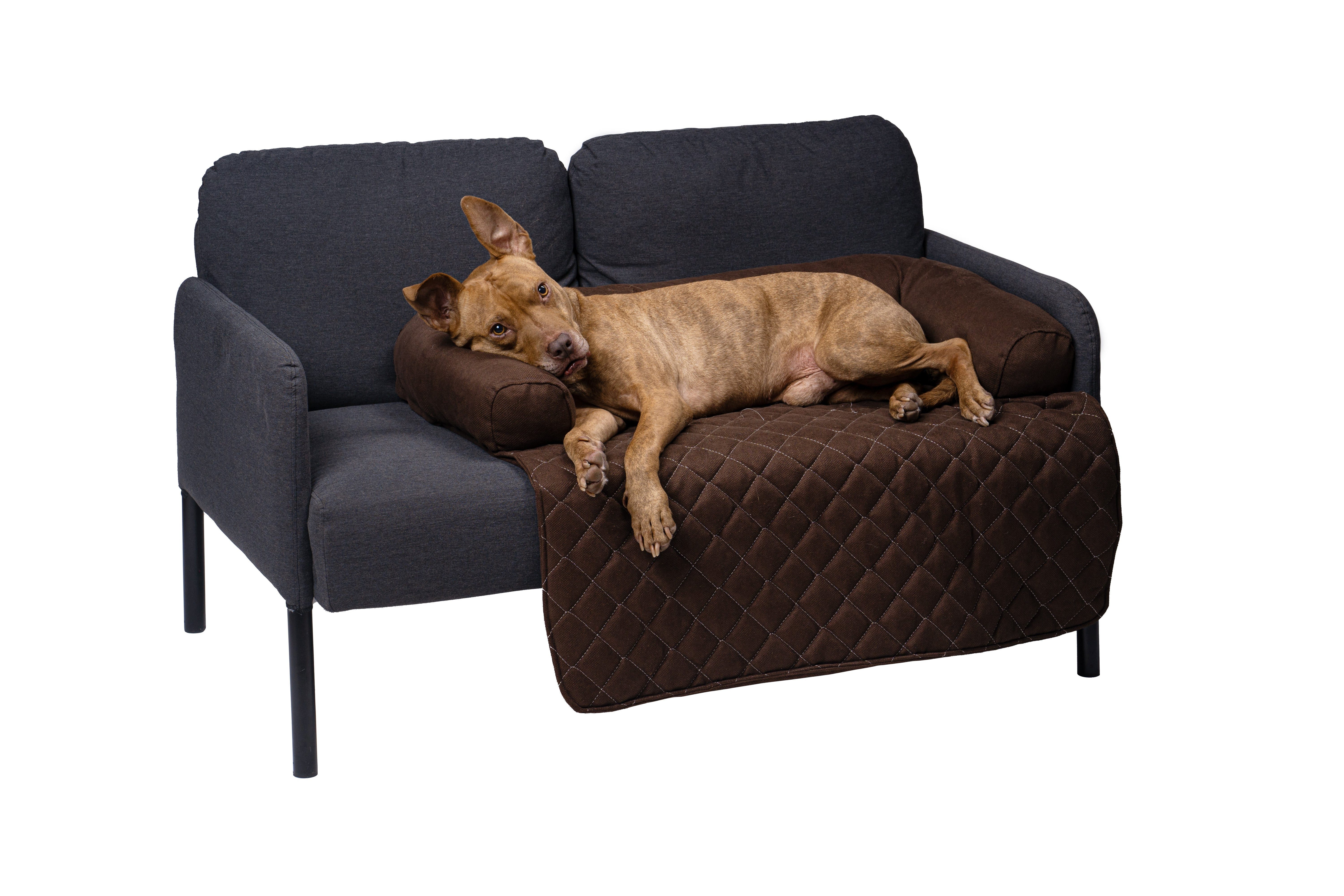 lous Hundematte Lous Sofaschutz Sofadecke mit günstig online kaufen