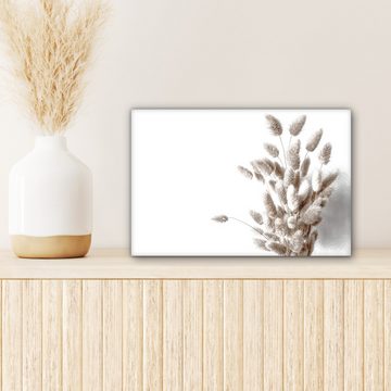 OneMillionCanvasses® Leinwandbild Pflanzen - Federn - Weiß, Beige, Weiß (1 St), Leinwand Bilder Klein, Wand Dekoration 30x20 cm