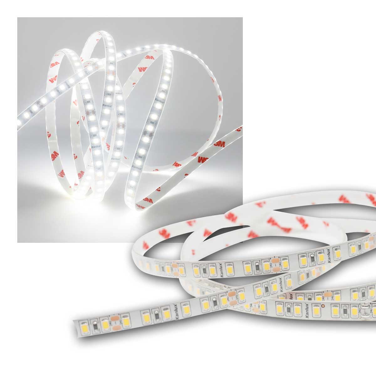Kanlux LED-Streifen LED Streifen 5m 120 LED/m kaltweiß 24V IP65 Ra80