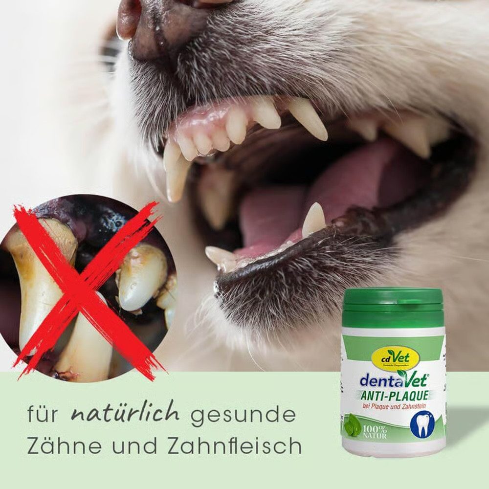 cdVet dentaVet Anti-Plaque, Ergänzungsfutter für: Katzen, Hunde, reinigt Zähne und Zahnfleisch ohne Putzen