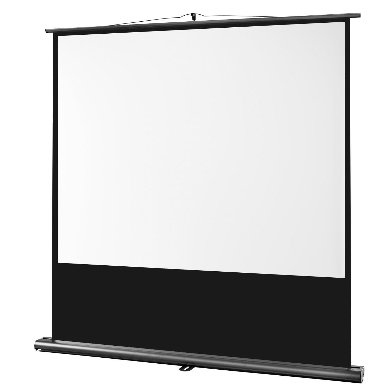 Celexon Professional Pull-Up-Leinwand (schwarze Rückseite)