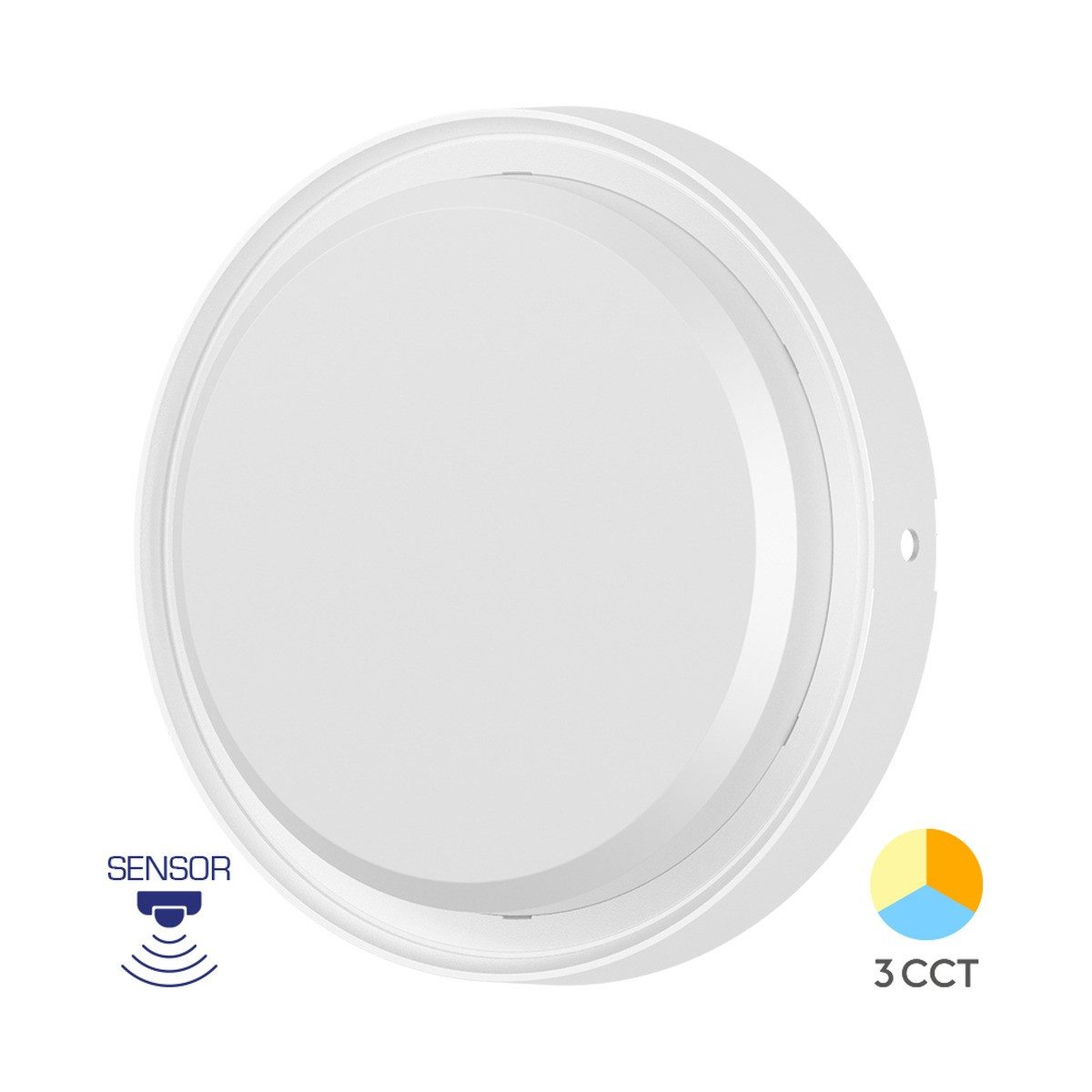 Braytron LED Deckenleuchte Wandleuchte mir Bewegungsmelder Außenbereich 3CCT 2020 Lumen, LED fest integriert, Neutralweiß, Kaltweiß, Warmweiß, Energieeffizient, Flimmerfrei, Langlebig, Spritzwassergeschützt, 3CCT
