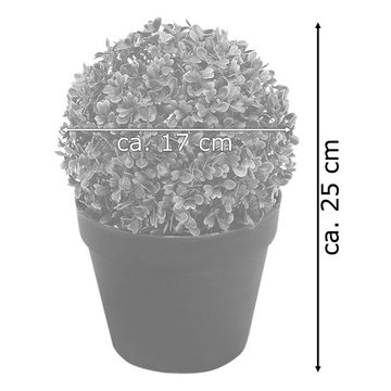Künstliche Zimmerpflanze Buchsbaum Kugel Künstliche Pflanze Buxus im Blumentopf 25 cm, Decovego