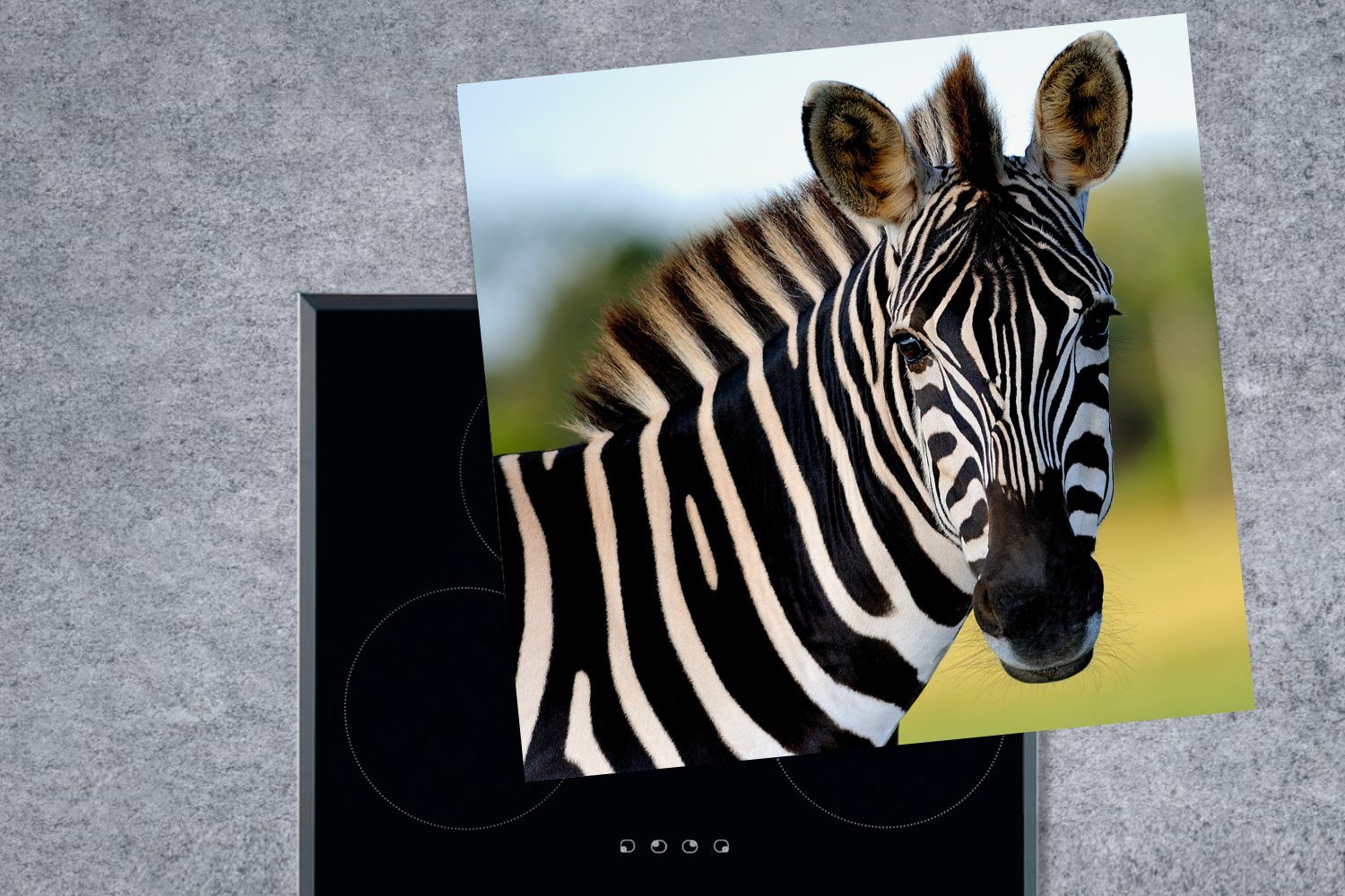 (1 tlg), Zebra, für Herdblende-/Abdeckplatte Arbeitsplatte küche Ceranfeldabdeckung, MuchoWow cm, Vinyl, 78x78 Nahaufnahme