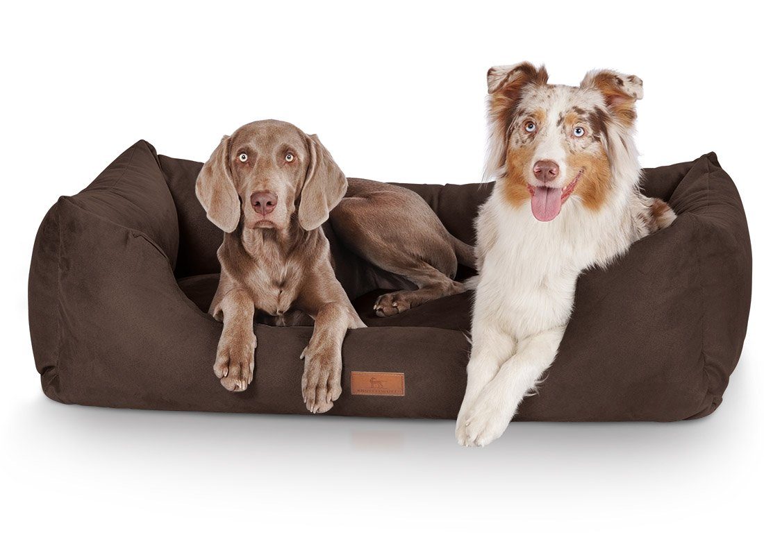 Tierbett Hundebett Dreamline