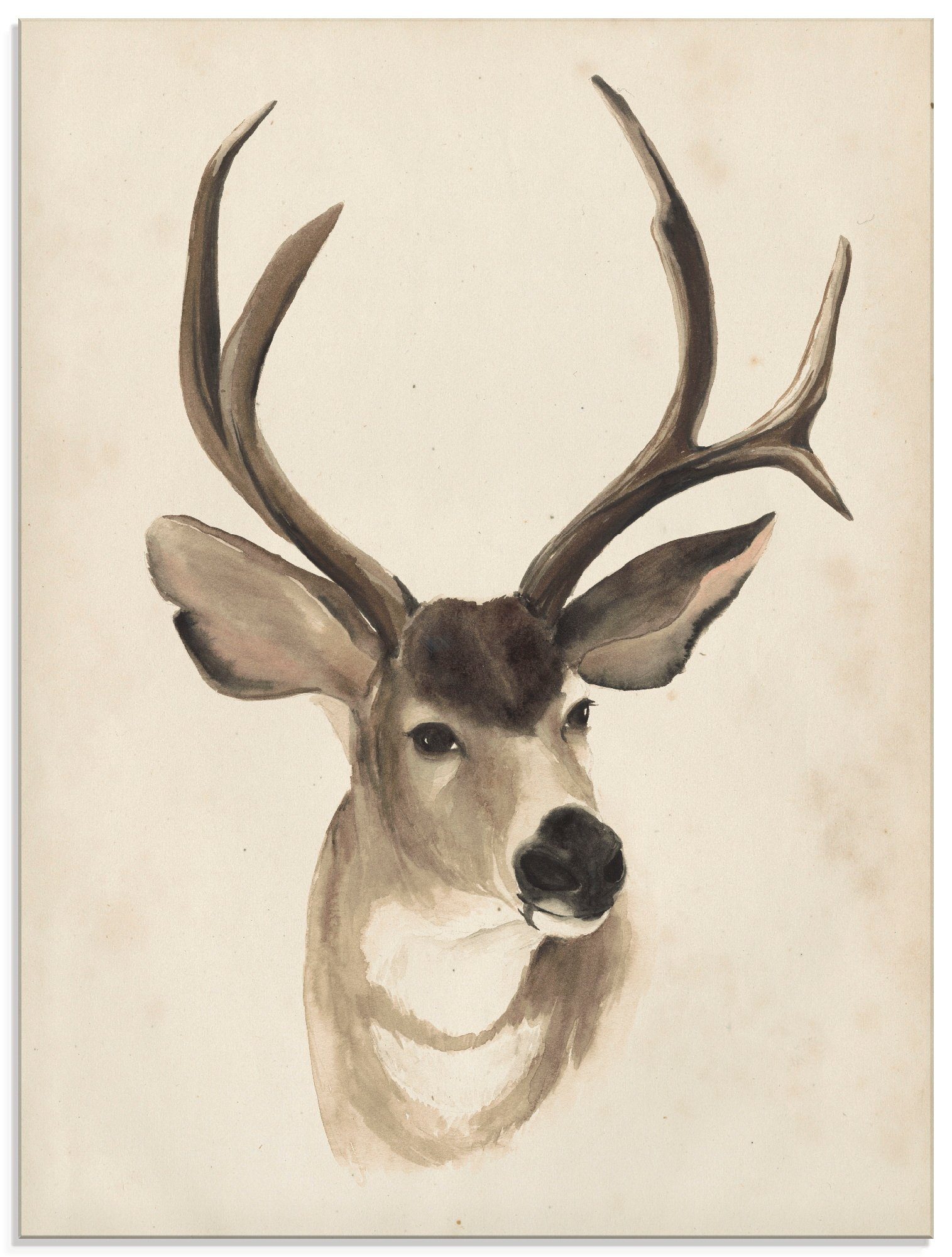 Artland Glasbild »Wasserfarben Tierlehre II«, Wildtiere (1 Stück)-Otto