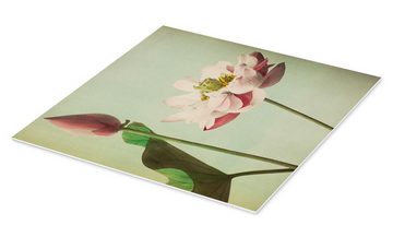 Posterlounge Forex-Bild Ogawa Kazumasa, Lotus, Shabby Chic Fotografie