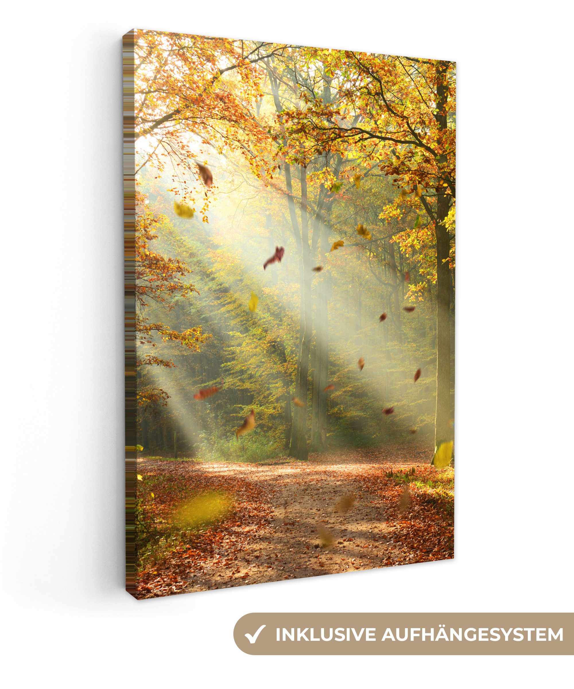 OneMillionCanvasses® Leinwandbild Wald - Bäume - Herbst - Sonne - Herbstblä günstig online kaufen