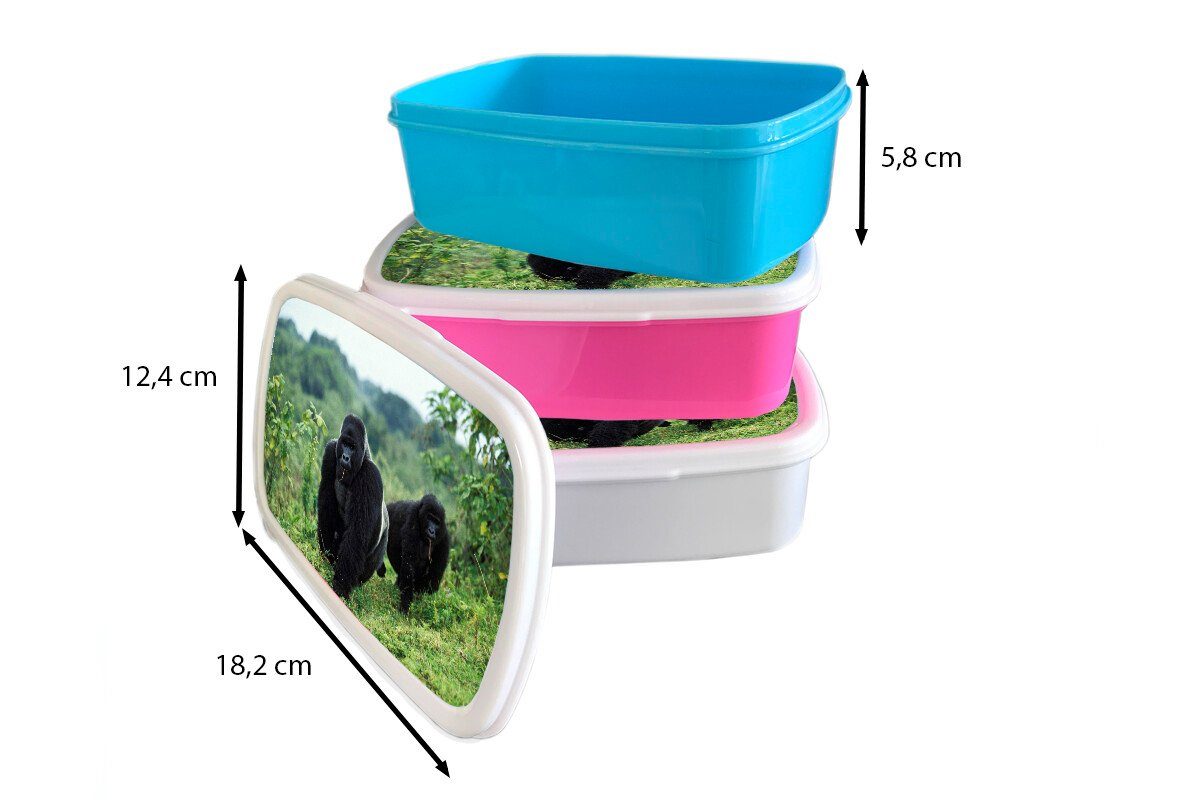 Kunststoff gefärbte Zwei Kinder, Gorillas in Erwachsene, Snackbox, Lunchbox (2-tlg), rosa grünen Mädchen, MuchoWow Brotbox Kunststoff, Umgebung, Brotdose schwarz einer für