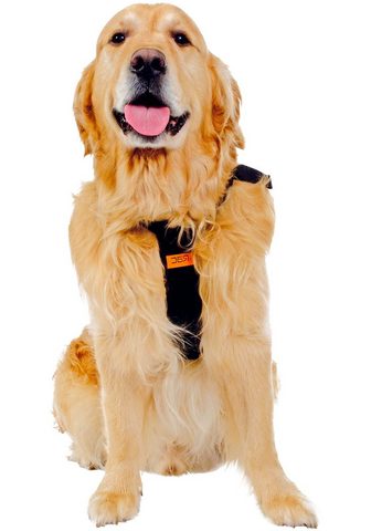 RAC Hunde-Sicherheitsgurt