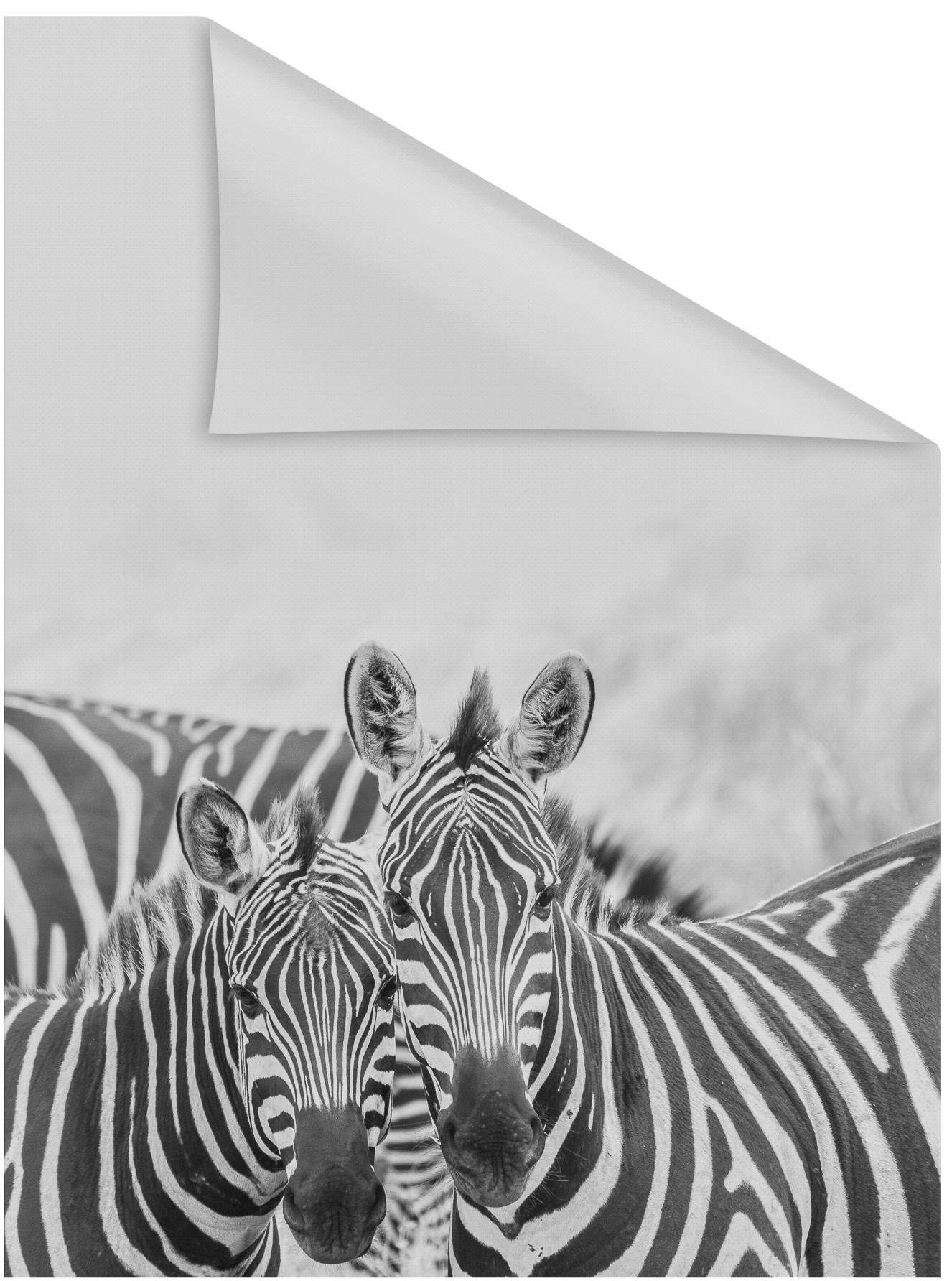Fensterfolie »Zebra«, LICHTBLICK ORIGINAL, blickdicht, strukturiert,  selbstklebend, Sichtschutz online kaufen | OTTO