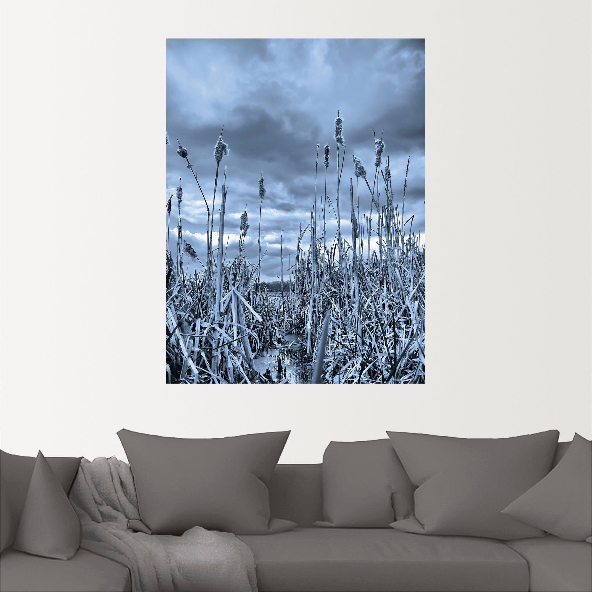 Artland Wandbild Schilf am Größen und als Wandaufkleber Himmel, Leinwandbild, oder (1 Dynamik Alubild, versch. in St), Pflanzenbilder Poster