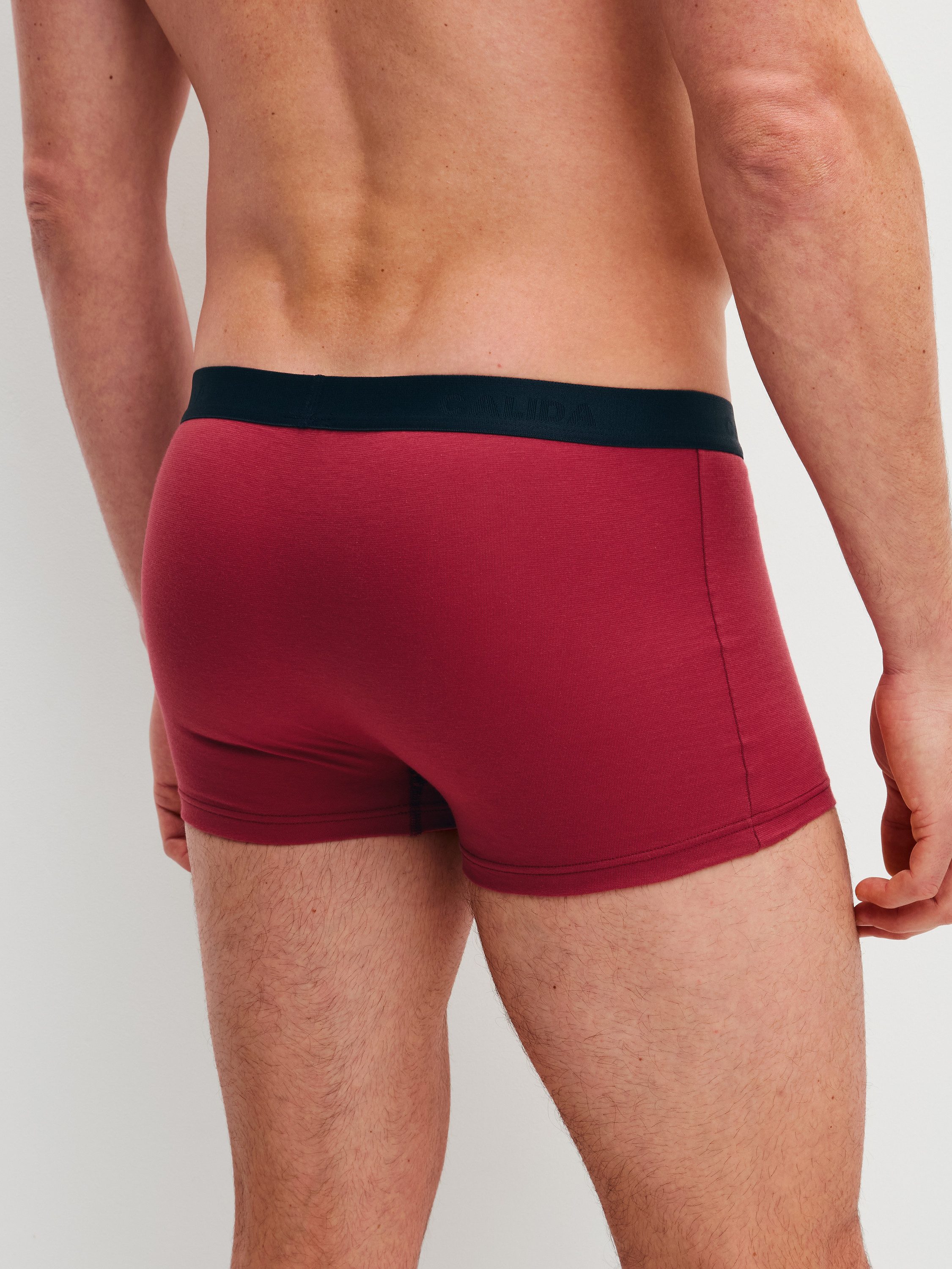 CALIDA Boxer Cotton Special Herren (1-St) im 3er-Pack