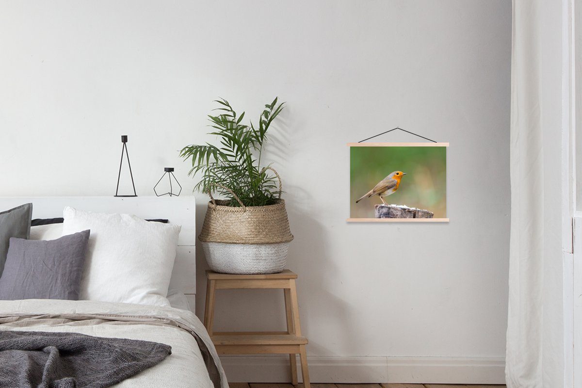 Tiere Bilderleiste, (1 Rotkehlchen, Poster Magnetisch Posterleiste, - für Vogel Wohnzimmer, Textilposter St), - MuchoWow