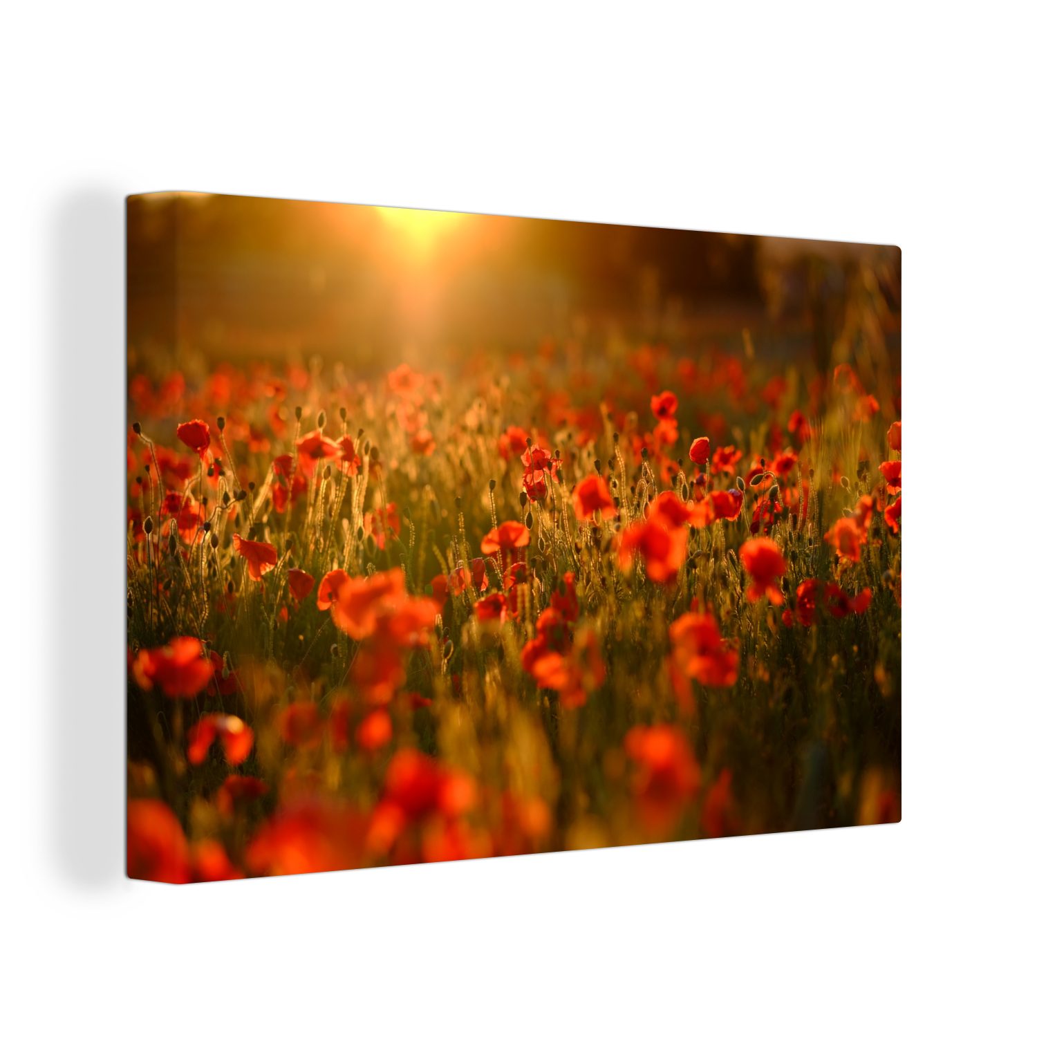 OneMillionCanvasses® Leinwandbild Mohnblumen Wanddeko, - 30x20 Wandbild Sonnenuntergang, Aufhängefertig, St), Leinwandbilder, Blumen (1 cm 