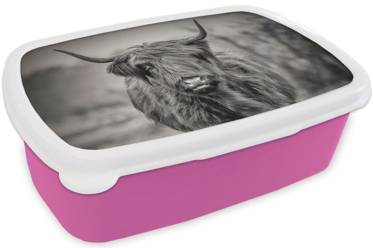 Highlander Schottischer Snackbox, für Kunststoff Weiß, Schwarz - Erwachsene, Brotbox Brotdose MuchoWow Lunchbox und (2-tlg), Mädchen, Kinder, Kunststoff, rosa